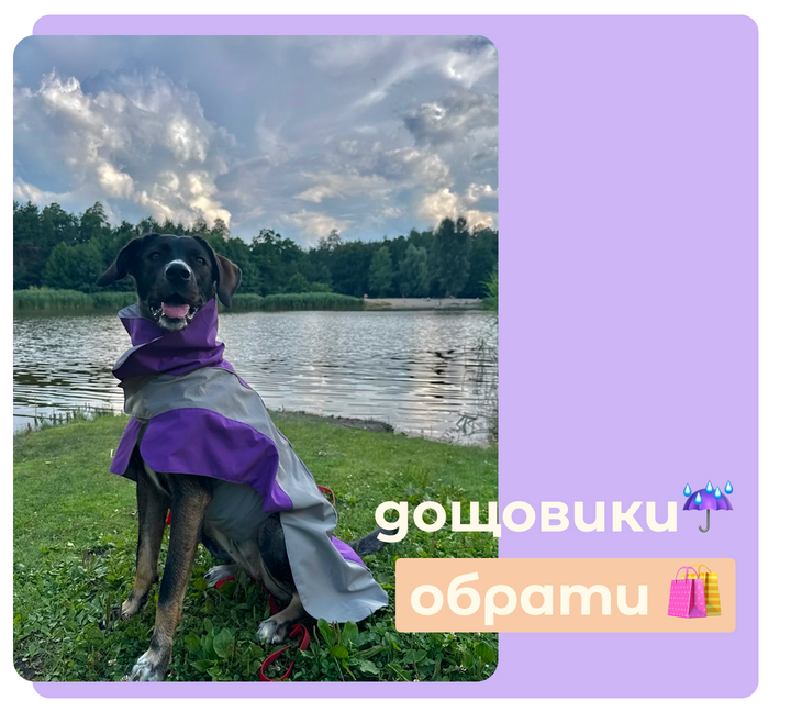 Банер товар 1