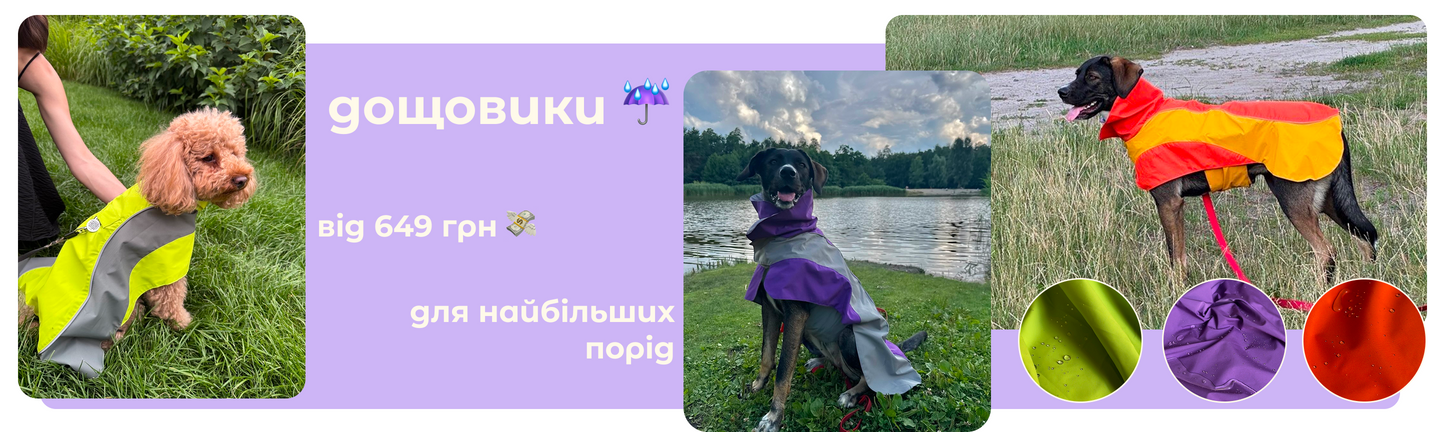 Декстоп банер головна